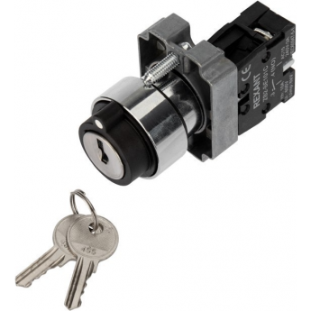 Переключатель REXANT BD21 2P с замком Переключатель REXANT BD21 2P с замком